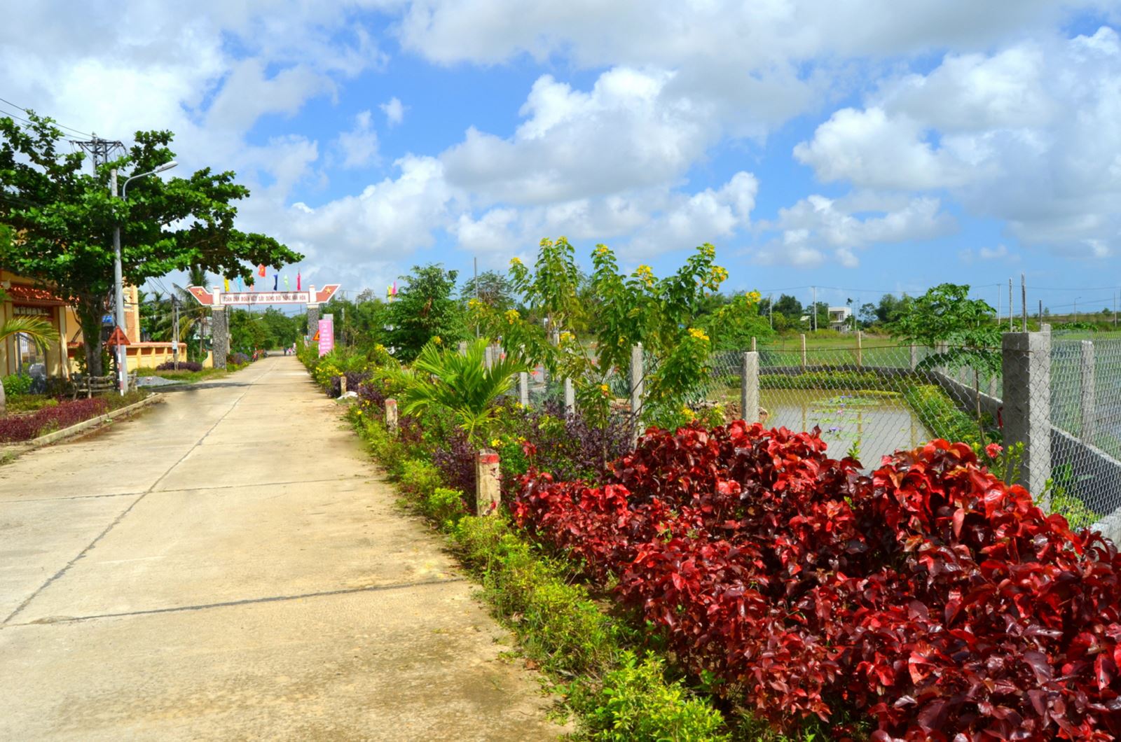 Xây dựng nông thôn mới kiểu mẫu ở Hòa Vang: Hướng đến một miền quê tươi đẹp, đáng sống, thân thiện với môi trường