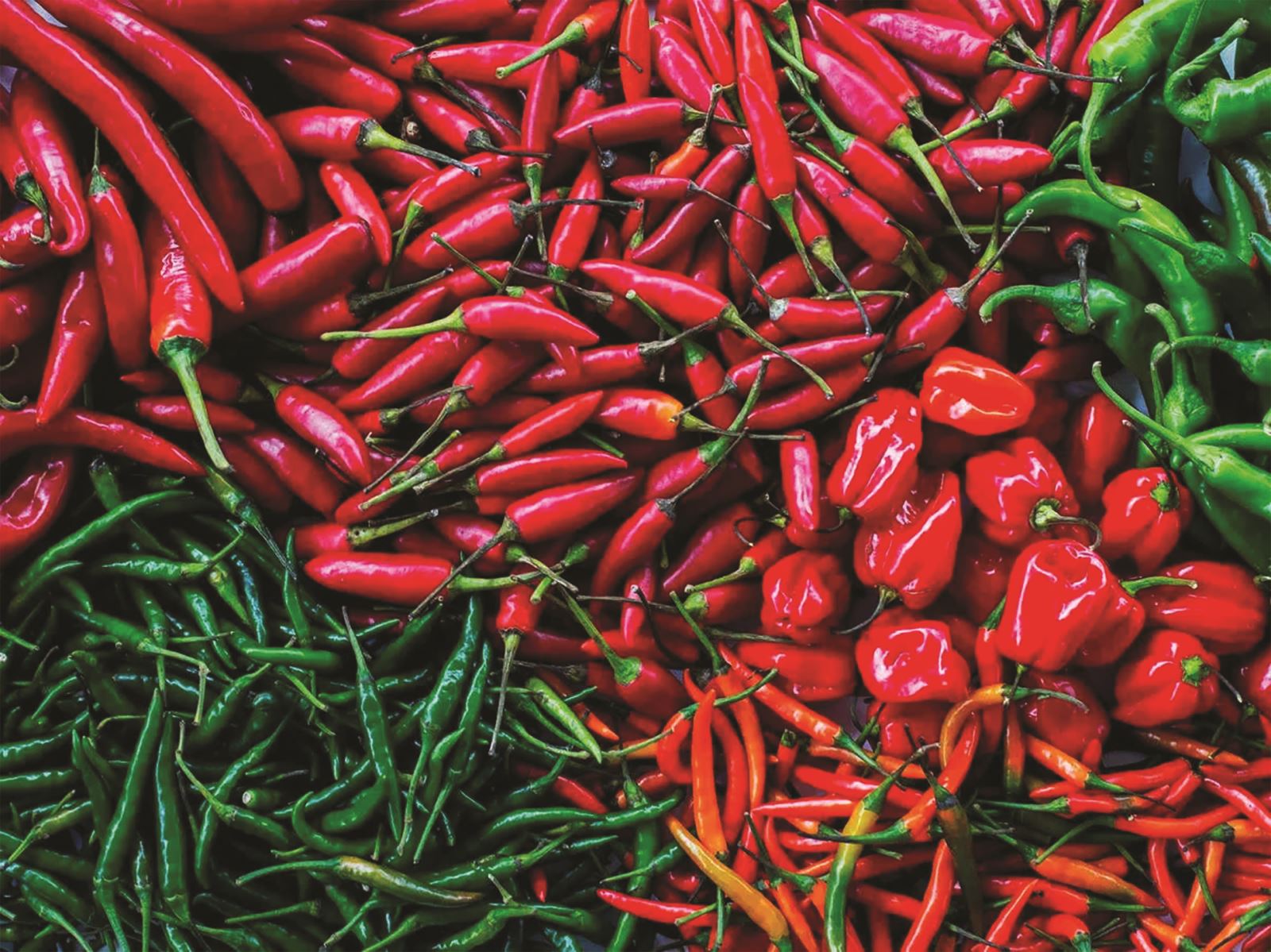 Mùa đông ăn ớt dầm chua xứ Quảng